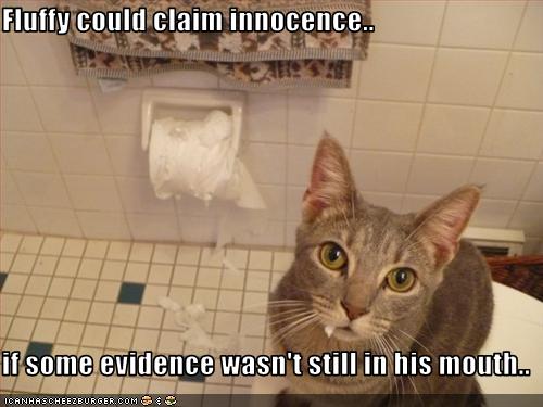 Justacargal Hump Day Humor Lol Catz