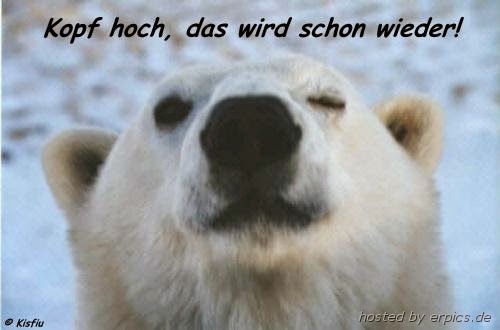 Usa Dreamdiary Mai 2015