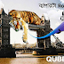 Qubee 2GB EXTRA volume Monthly Package | 150% Extra Volume on any Pre Pay Card recharge