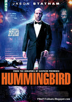Hummingbird 2013