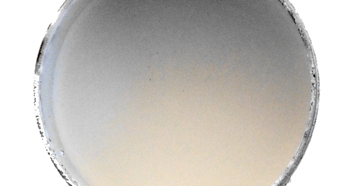 ParksArtworks Encaustic Resources Palette Cups