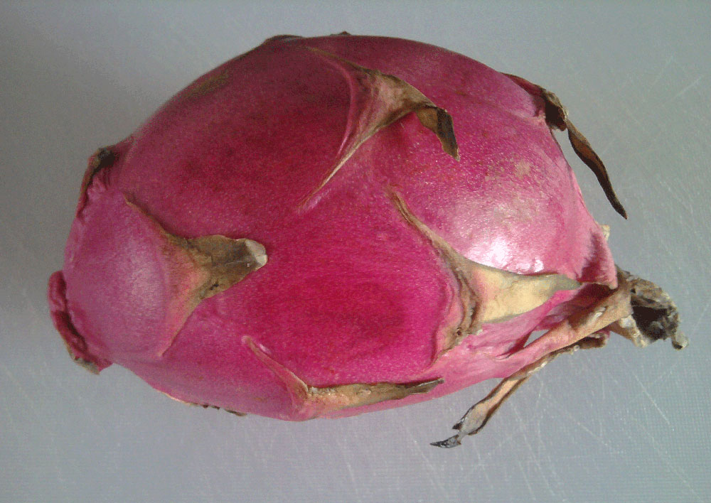 Dragon Fruit To me it tastes like a cross between a kiwi and a pear