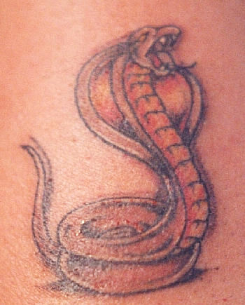 snake tattoos for men