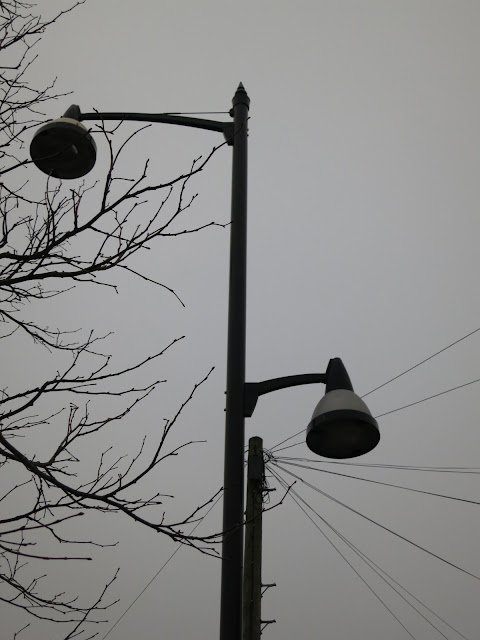 Lampost with two lamps, telegrpah poles with ten wires, tree with twigs