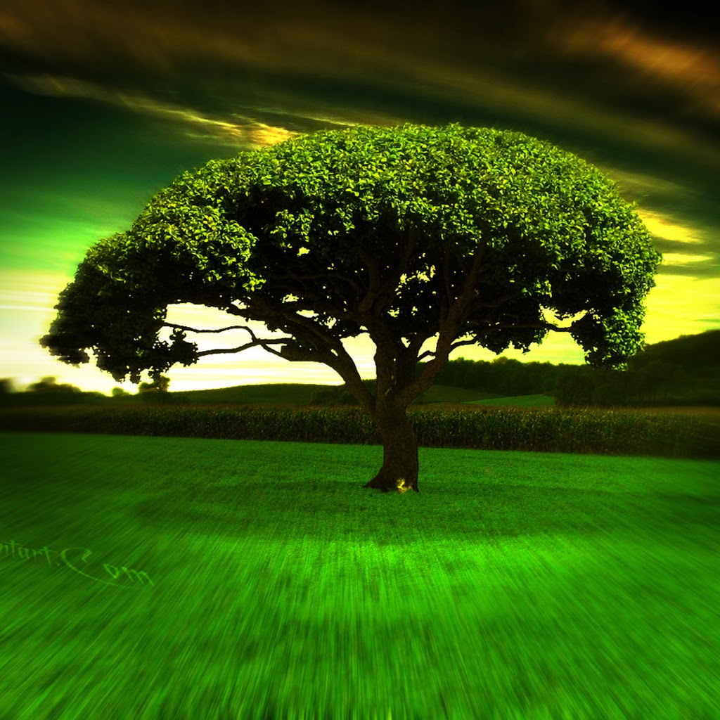 Wallpaper Hd 1080p Wallpaper Hd 1080p