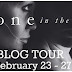 Blog Tour: A STONE IN THE SEA by A.L. Jackson - Excerpt and Giveaway 
