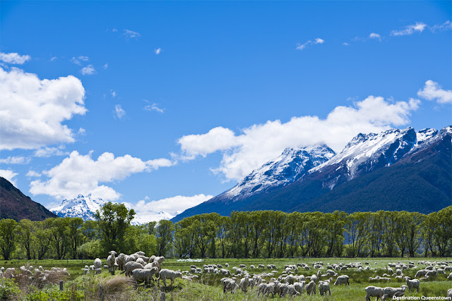 Queenstown