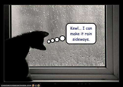 Funny Rain Pictures