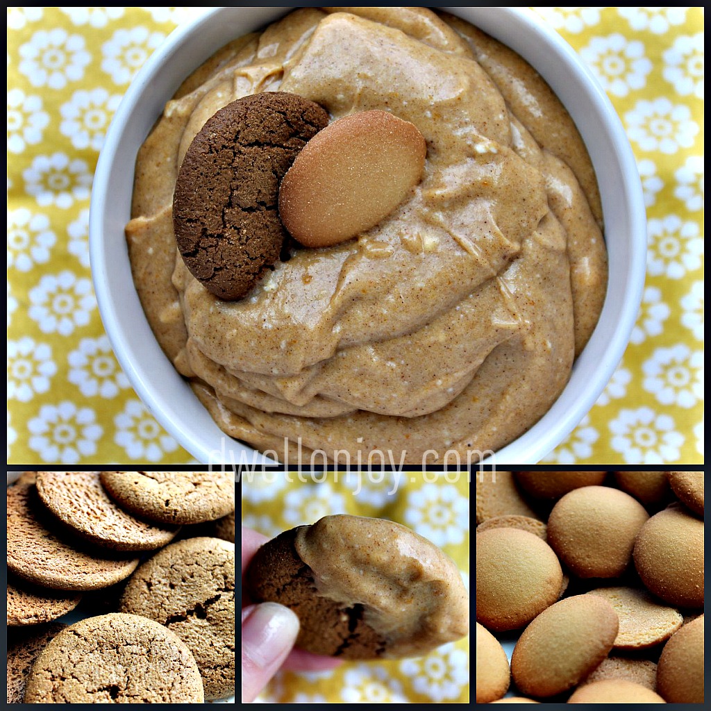 Dwell on Joy Pumpkin Pie Dip