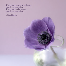 Daily Colours : Inspirational Quotes