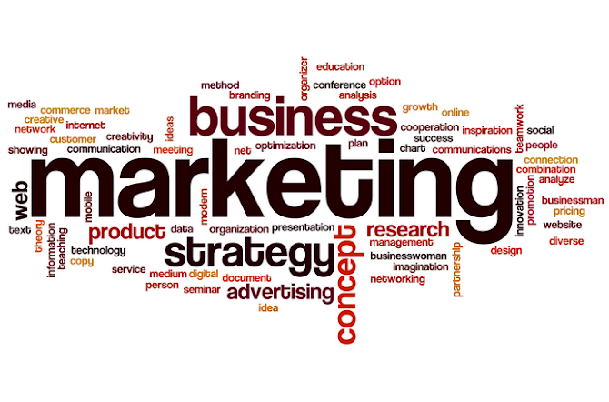 Edan Gelt, MBA:  Marketing Strategy
