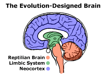 the supermind evolution system the supermind evolution system