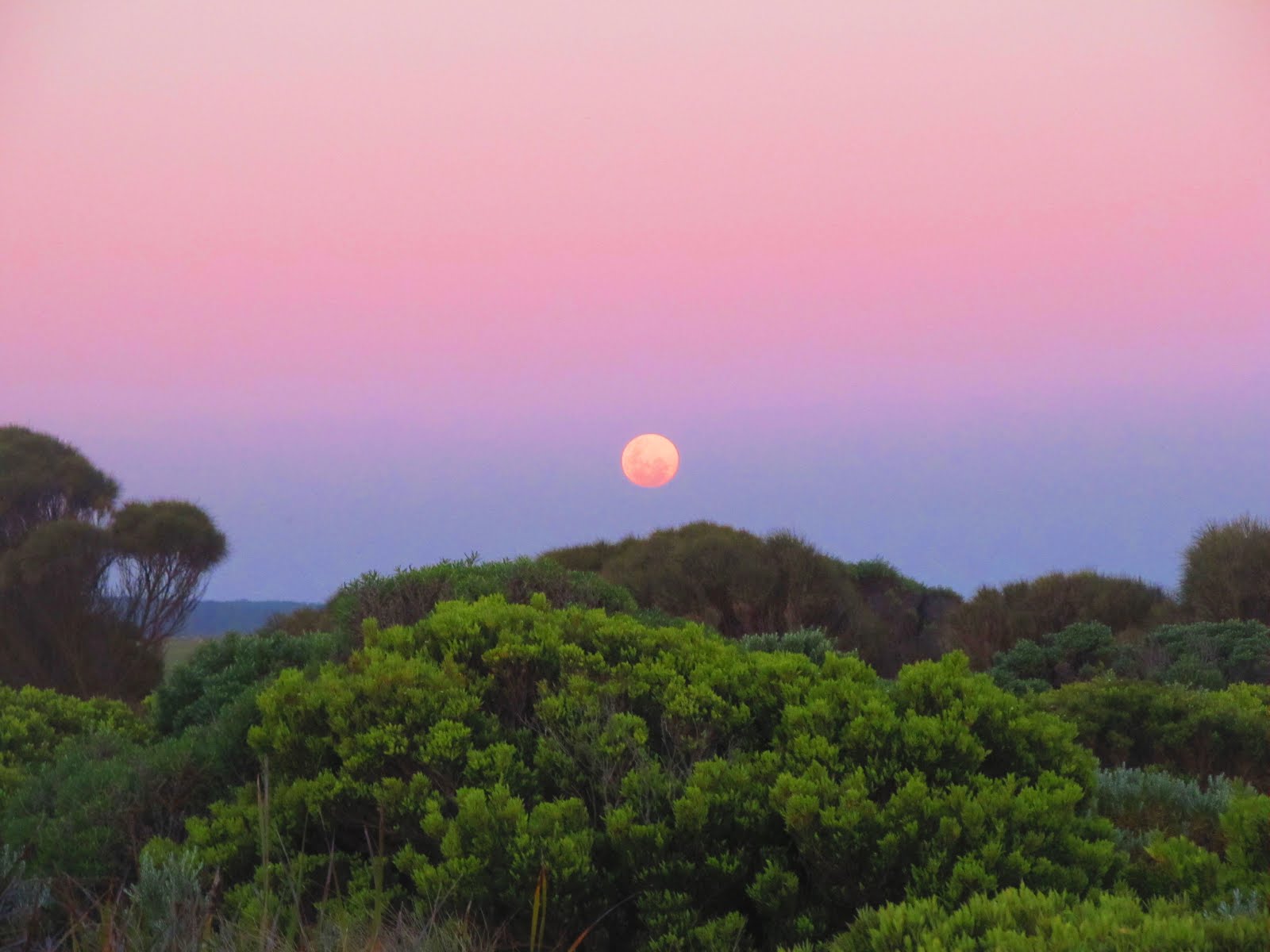 Moon Rise, Great Ocean Road, Australia
