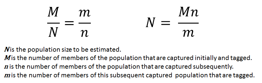 What is the capture-recapture method?