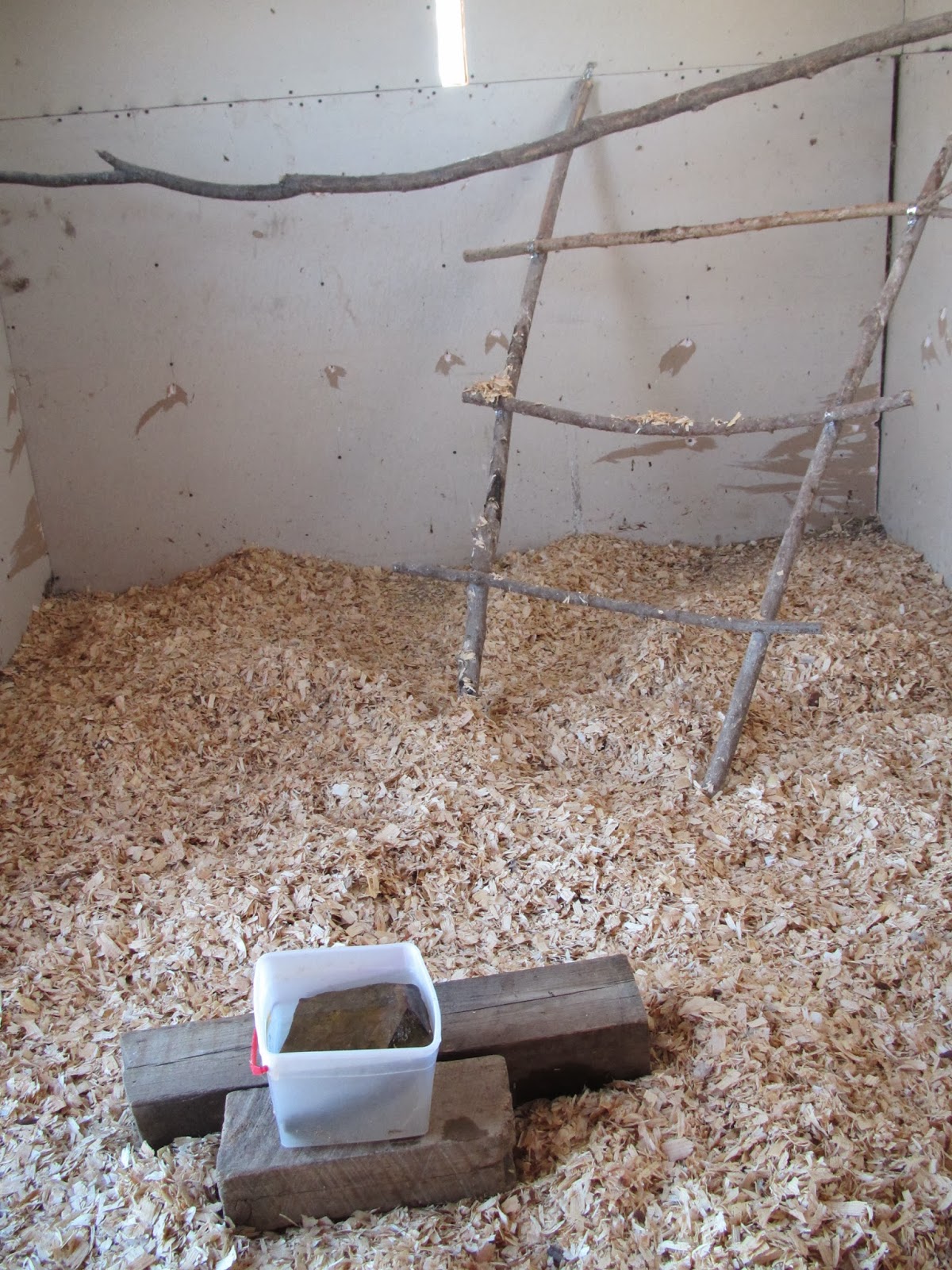 JUST ME cleaning the hen house