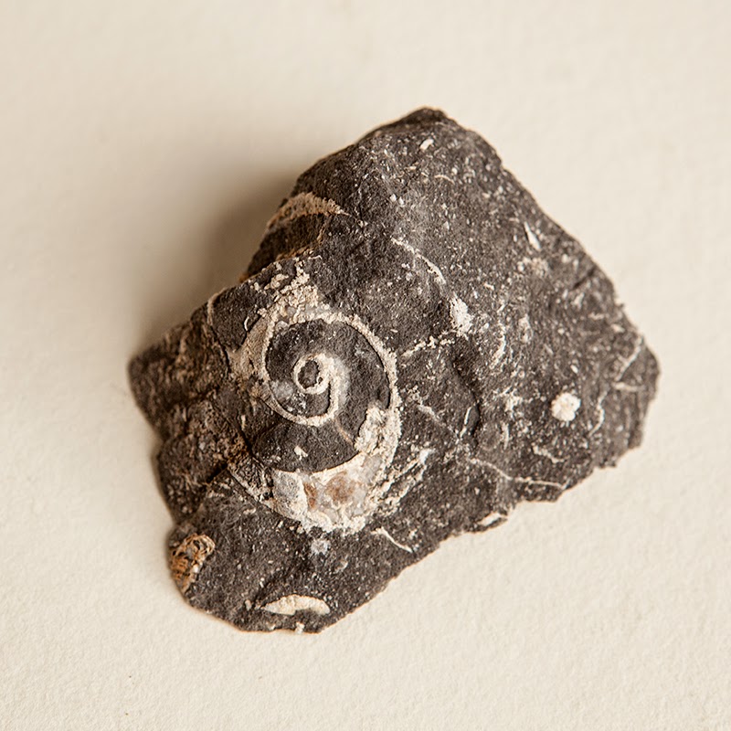 Ramblings Ben's Fossil and Crystal Finds on Leatherman, Lost River