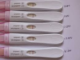 jinekoloji gebelik hesaplama blogger