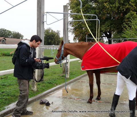 cheval magazine rencontre