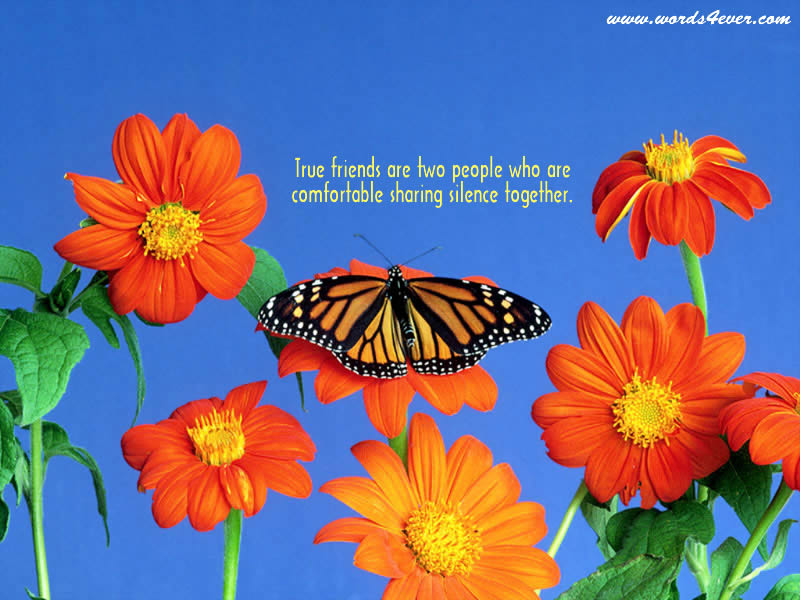 Beautiful Wallpapers with Beautiful Quotes | Free Christian Wallpapers