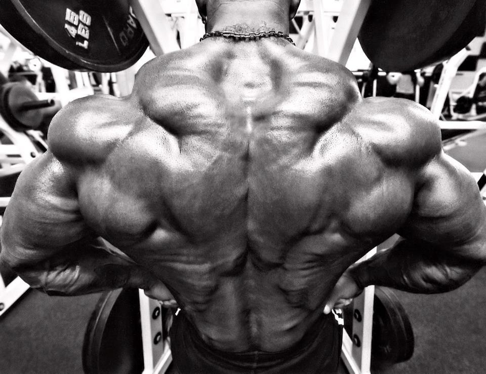 SEARCH AND BUY THIS PRODUCT Bodybuilding Pic,s & Tips ( POWER HOUSE ): Body Builders