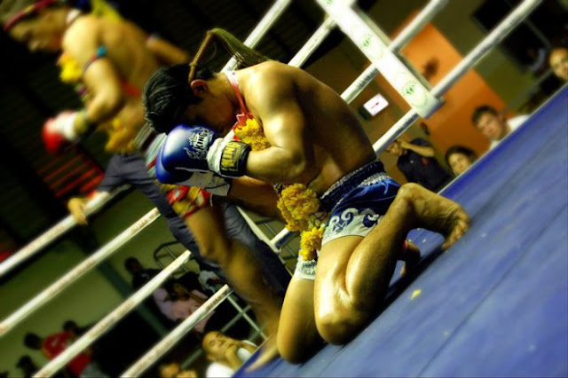 Koh Samui Thai boxing Muay Thai