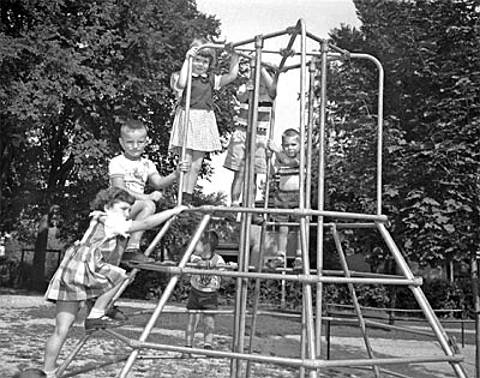 Monkey-bars.jpg