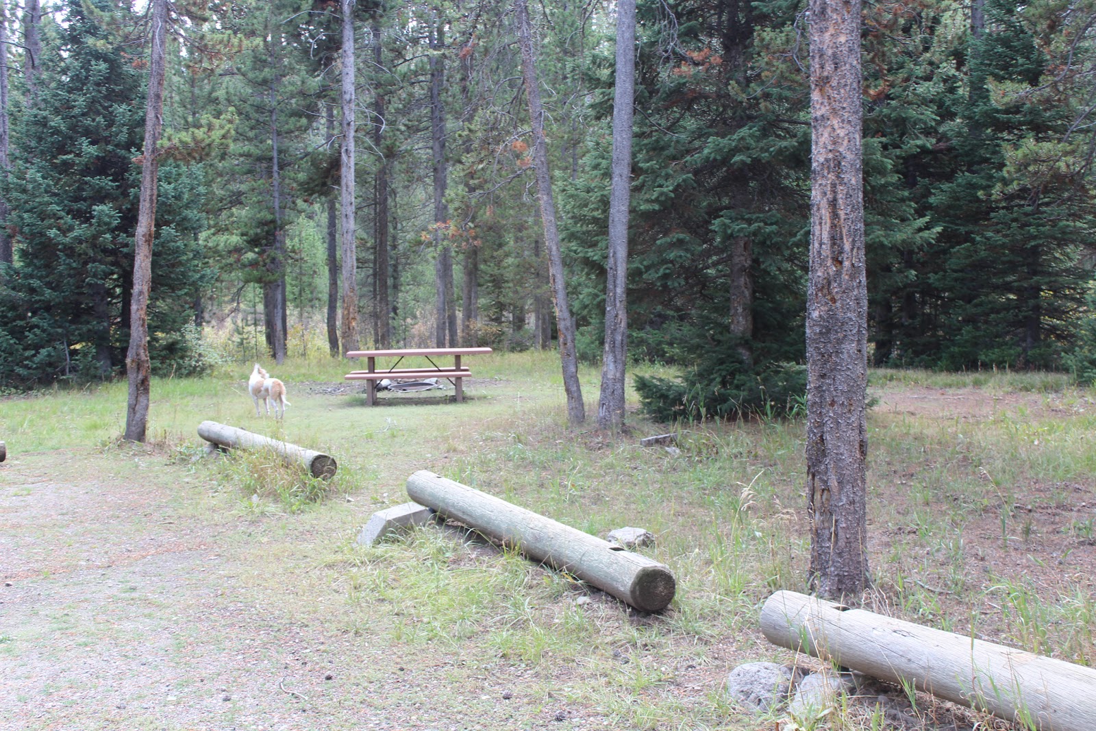 The Massey Family On the road again Camping along Grassy Lake Road in the John D. Rockefeller