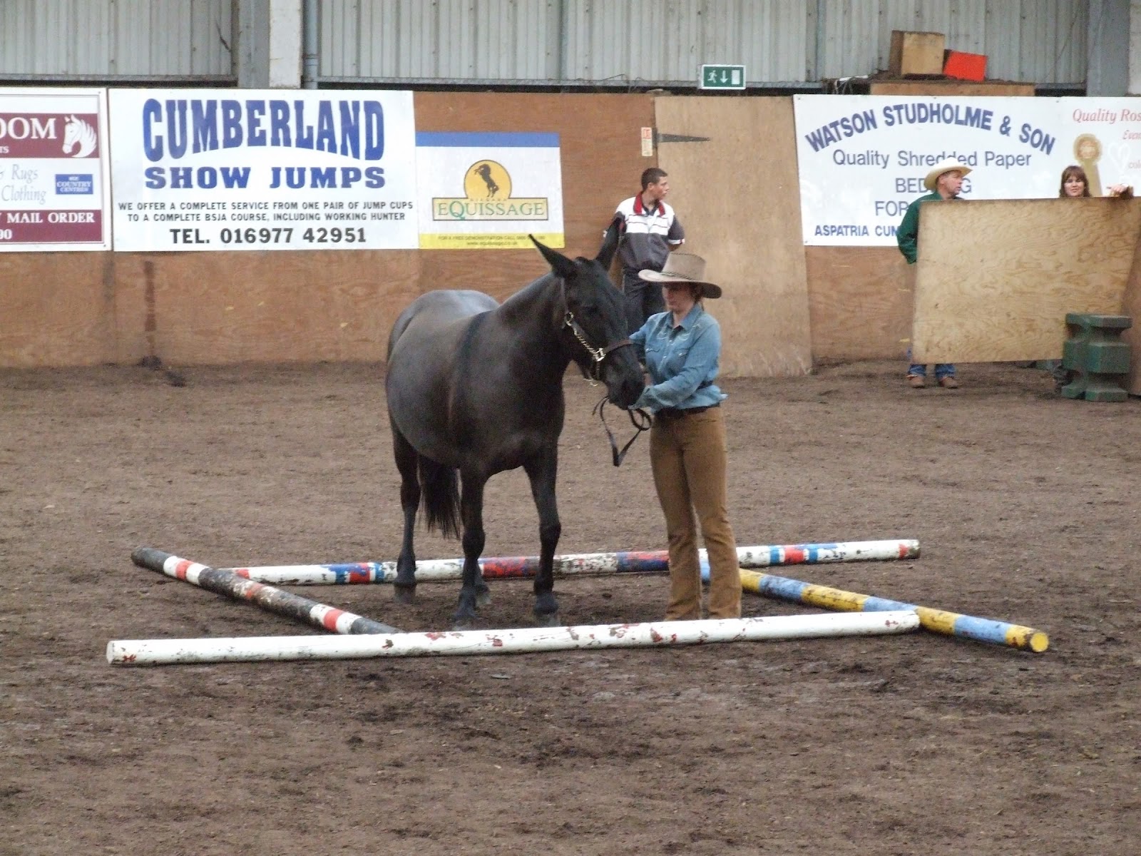 The British Mule Society What Can Mules Do?