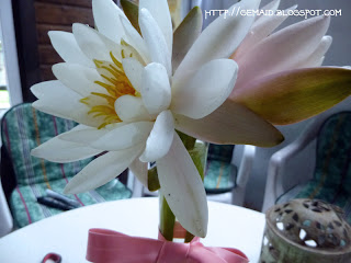 Mywordpressguide Com