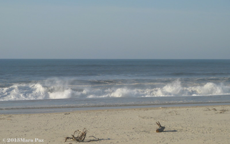 A winter sea view - Torreira beach