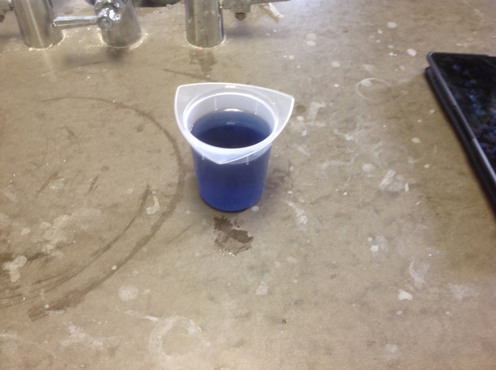 Biology Honors Blog Dialysis Tubing Lab