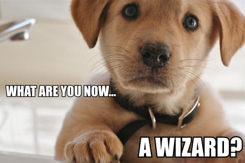 What%2BAre%2BYou%2BNow%2B-%2BA%2BWizard.jpg