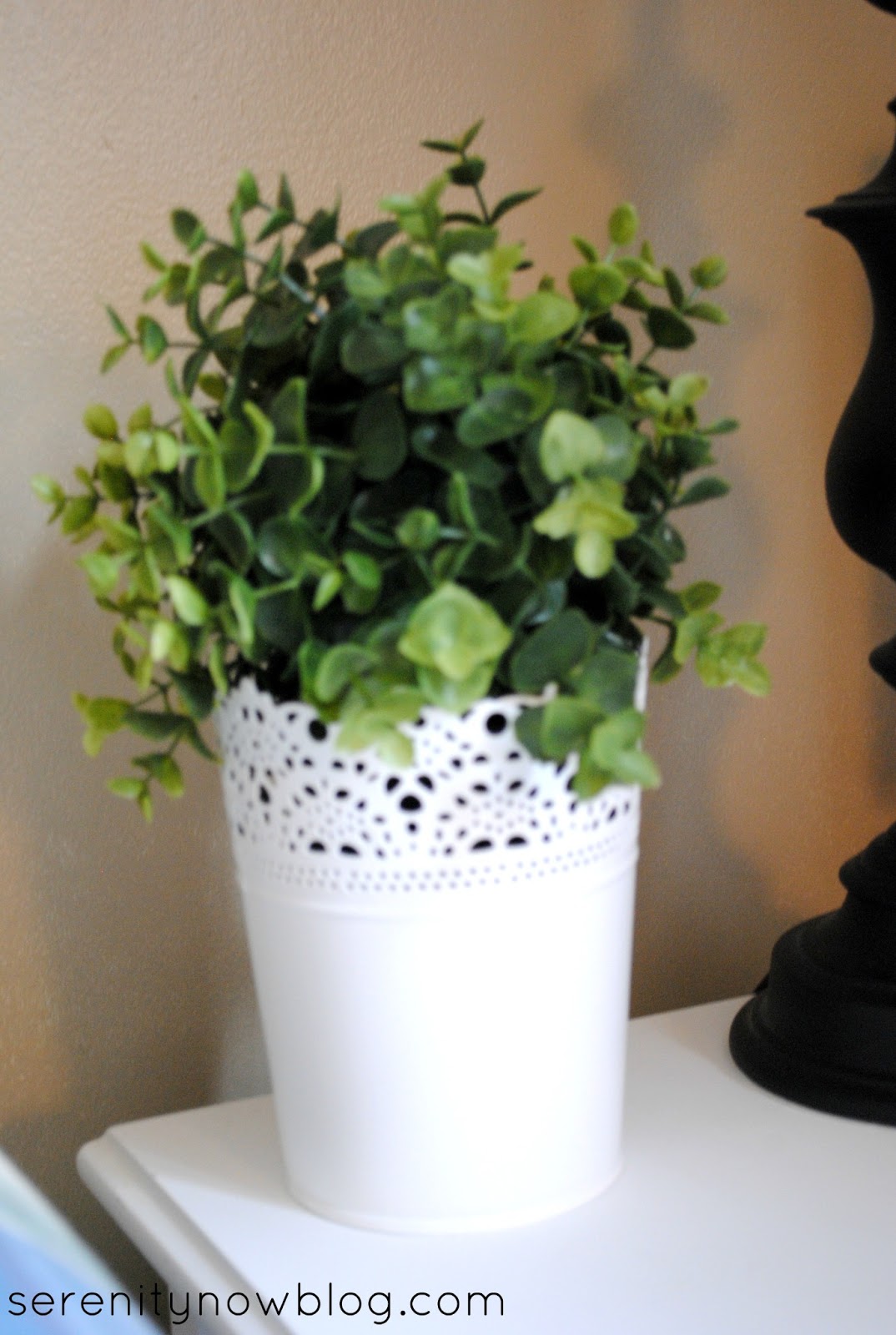 Serenity Now Green In the Family Room (Confession of a Plant Killer)