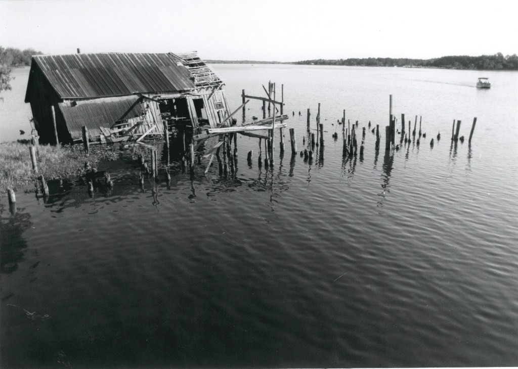 Behind the Sign Lake Beresford Park