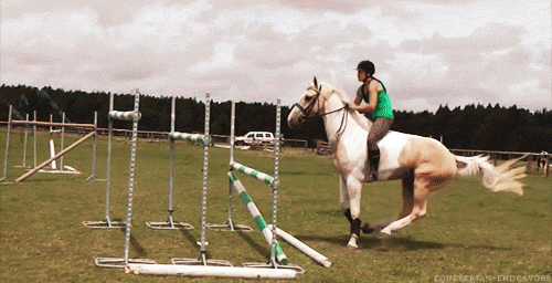 No gif: Uma mulher sobre um cavalo branco pulando três obstáculos de treinamento
