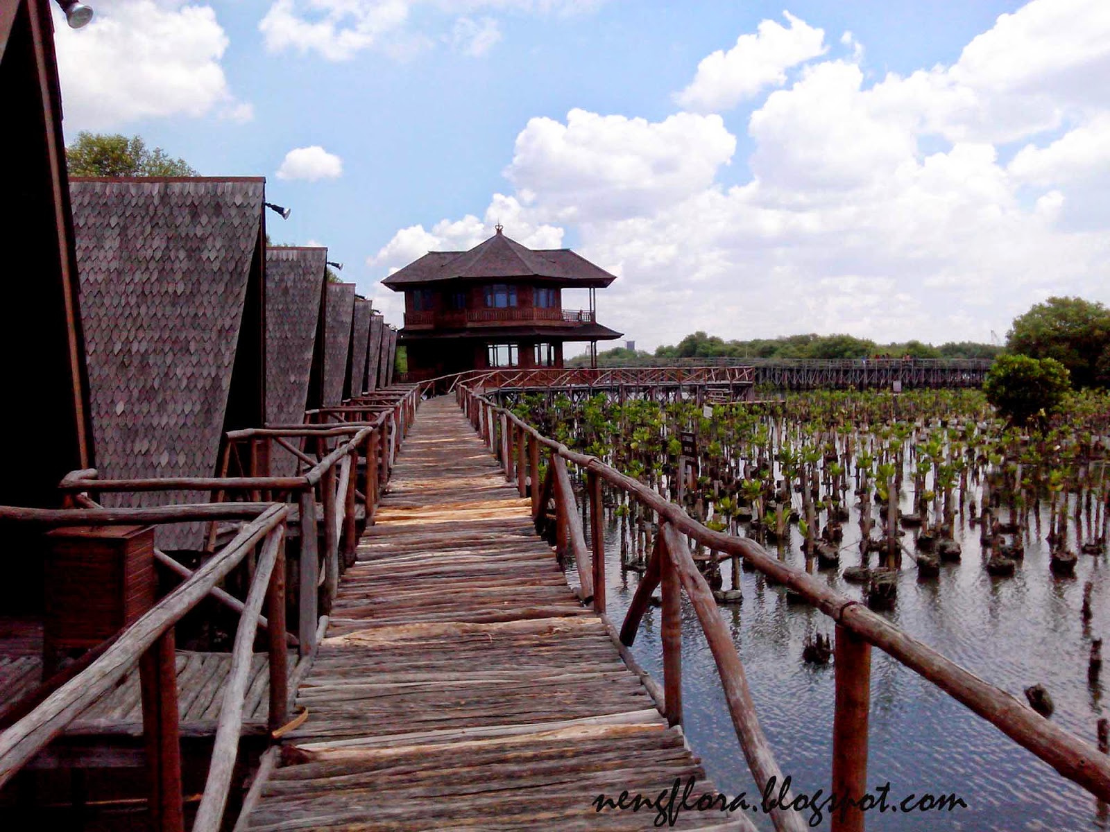 Taman Wisata Muara Angke