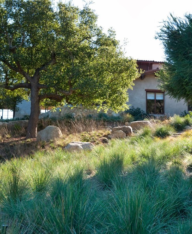 the garden Lane Goodkind & Santa Barbara