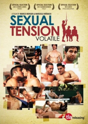 Sexual Tension 1 : Volatile - QUEERGURU