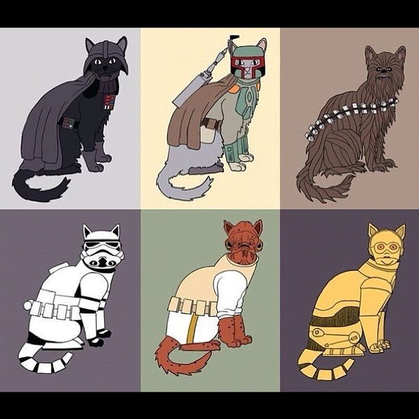 star wars cat tags star wars cat tags