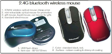 2.4G Wireless Bluetooth Mouse