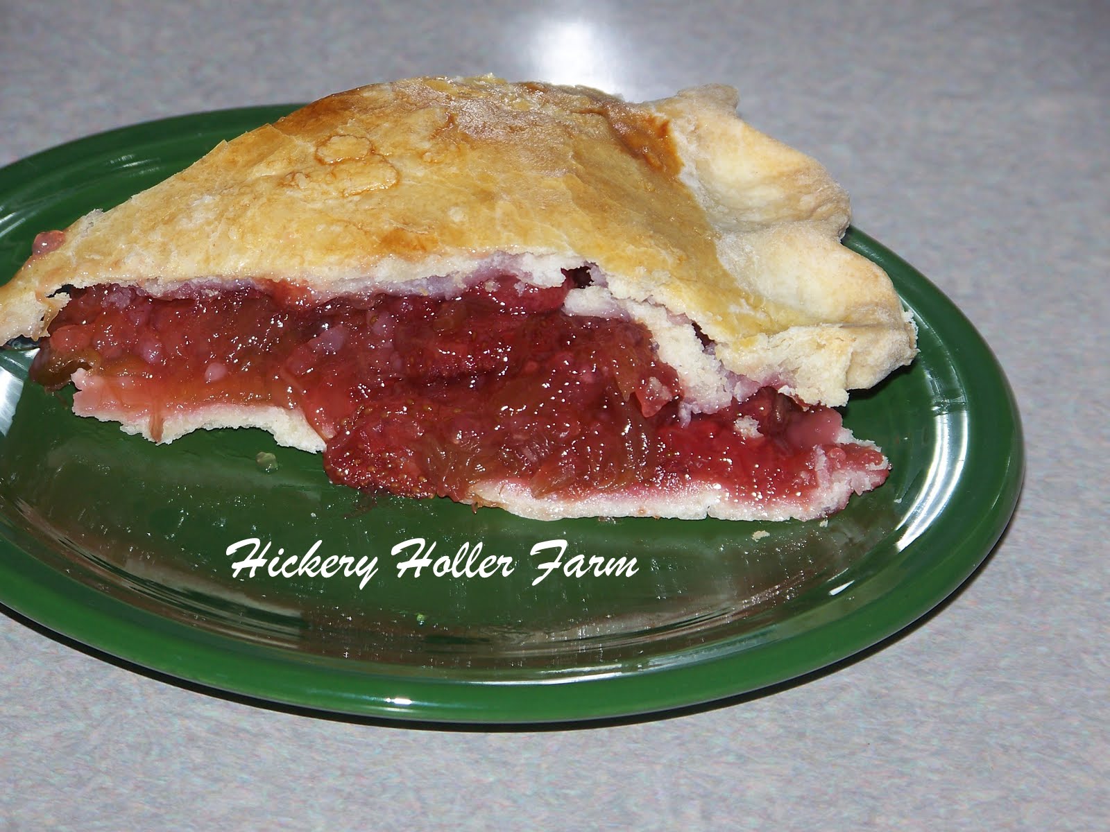 Hickery Holler Farm Rhubarb Pie From Canned Rhubarb