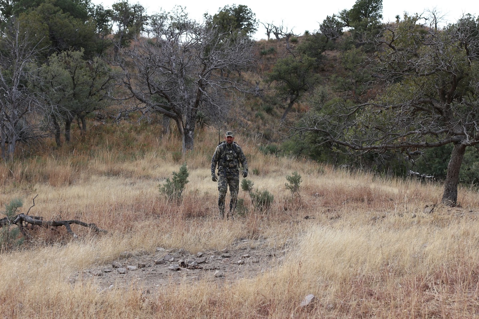 Coues+Deer+Hunting+Country+Photos+in+Sonora+Mexico+with+Colburn+and+Scott+Outfitters+14.JPG