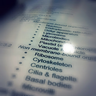 Nespresso vertuo vs original picture