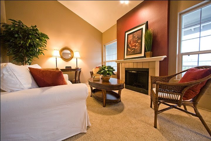 Interior Wall Paint Colors Home Design Ideas