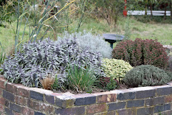 Herb garden