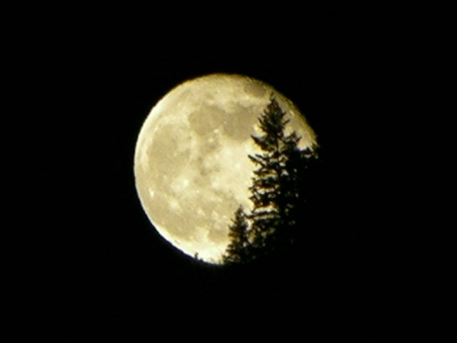 Winter Moon Rising