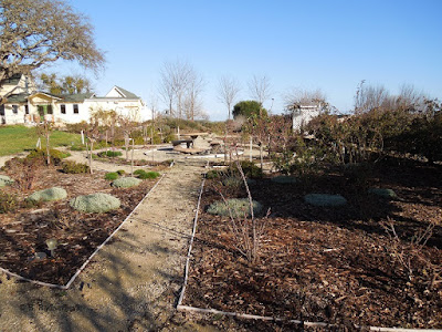 Rose Garden, February, 2015, ©B. Radisavljevic