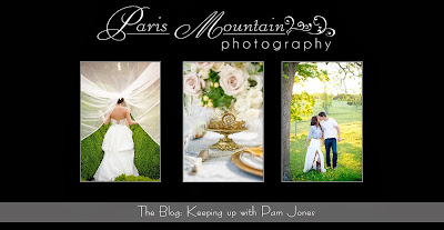 Paris Mountain Photography Blog
