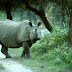 Assam - Wild life and National Park