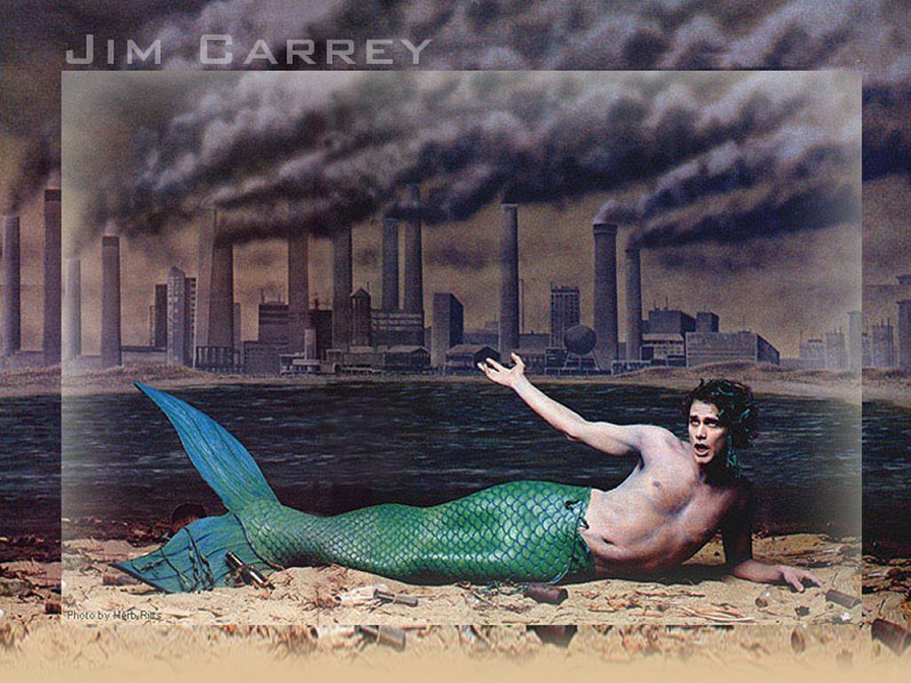 http://1.bp.blogspot.com/-yR1vzOjF01A/TlvTrWjw-xI/AAAAAAAADGg/qoctfuayCfw/s1600/Jim-The-Mermaid-jim-carrey-1413887-1024-768.jpg